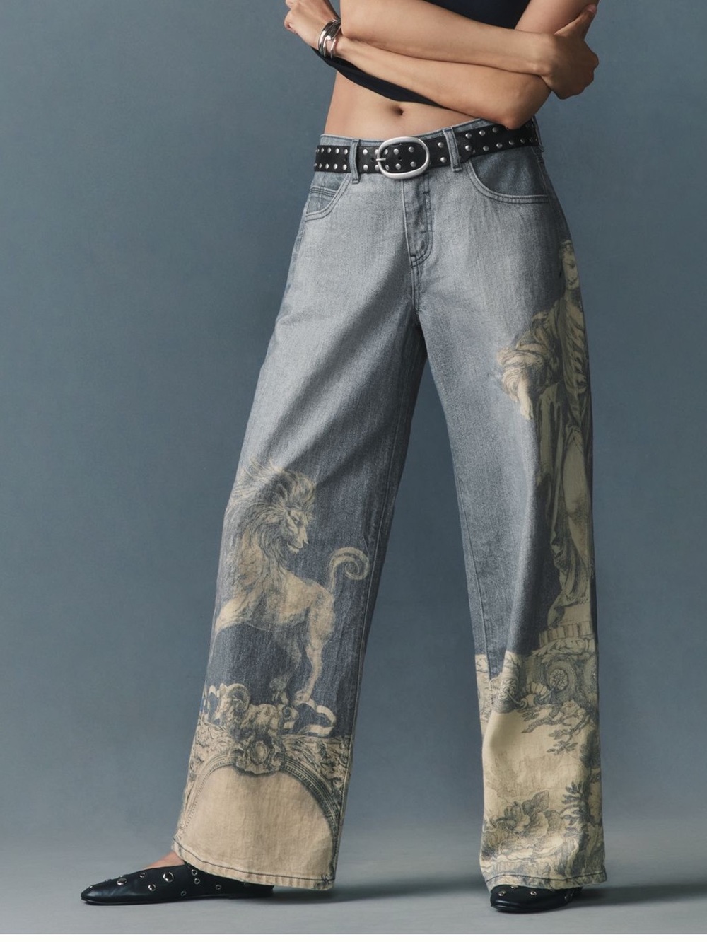 Anthropologie Low Rise Wide Leg Jeans Pilcro New 27 Zbo Roman Lion Unicorn Art - Picture 14 of 15